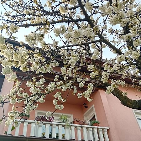 Apartman Nada Krapina Exterior photo